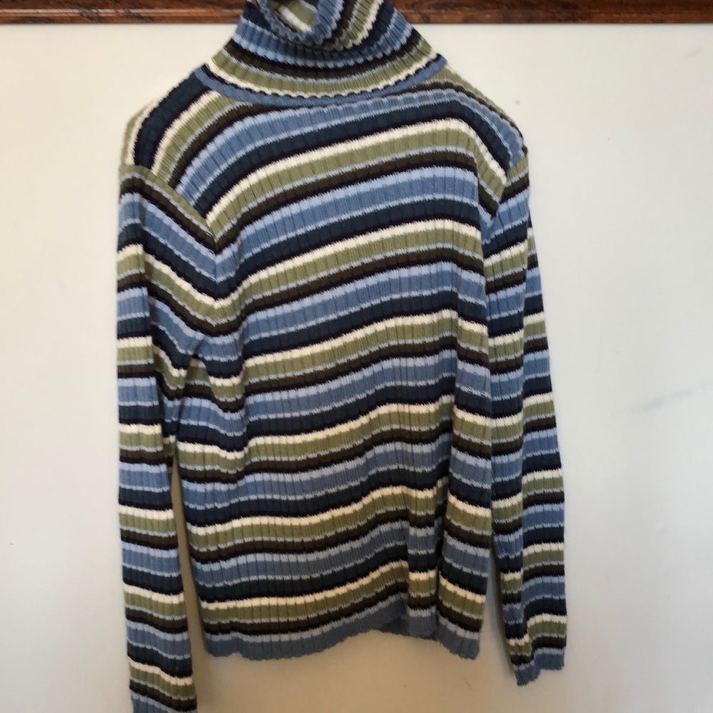 Turtle neck striped sweater